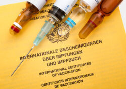 Impfausweis